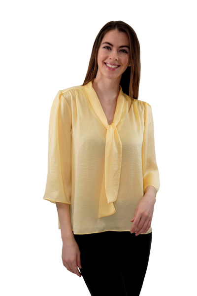 Picture of HAMMER SATIN TIE NECK BLOUSE